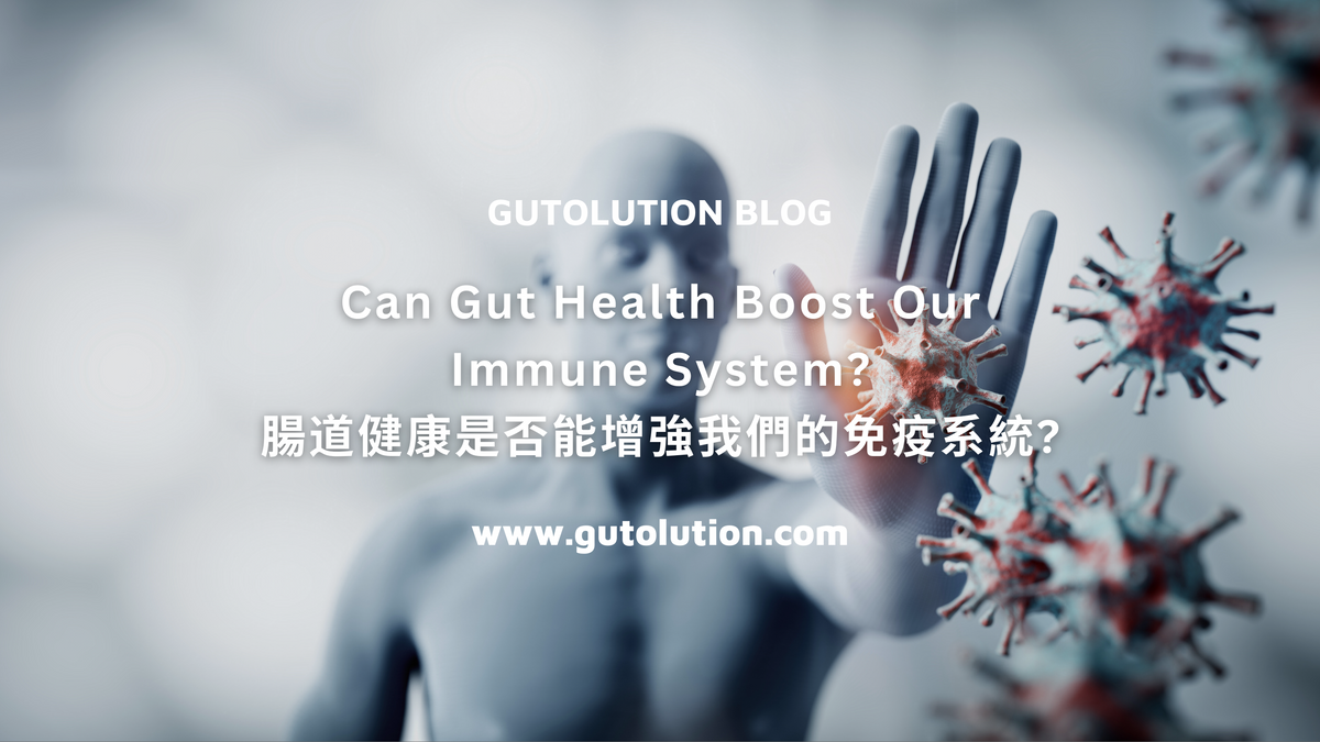 Can Gut Health Boost Our Immune System? – GUTolution