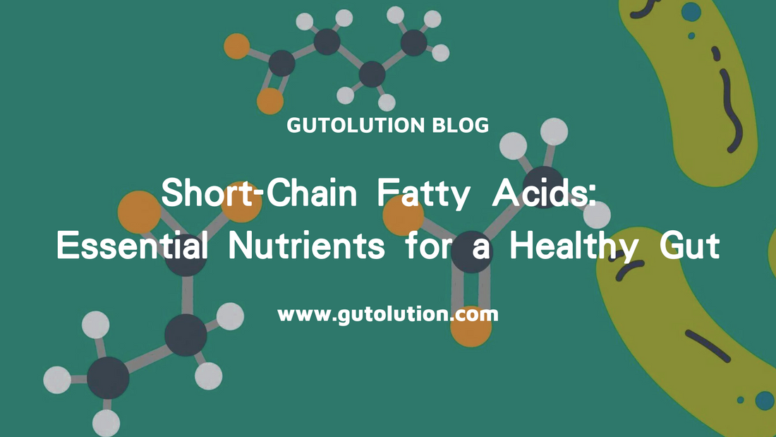 Short-Chain Fatty Acids: Essential Nutrients for a Healthy Gut