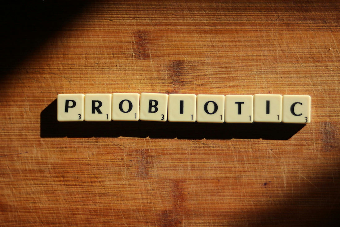 9 Gut Probiotic Benefits You Should Know! When should I take them? What are the best ways to take them? (above)