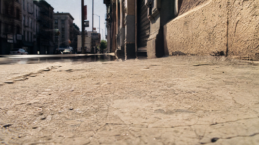 The Heat Under the Concrete: How Urban Heat Island Effects Quietly Damages Your Gut