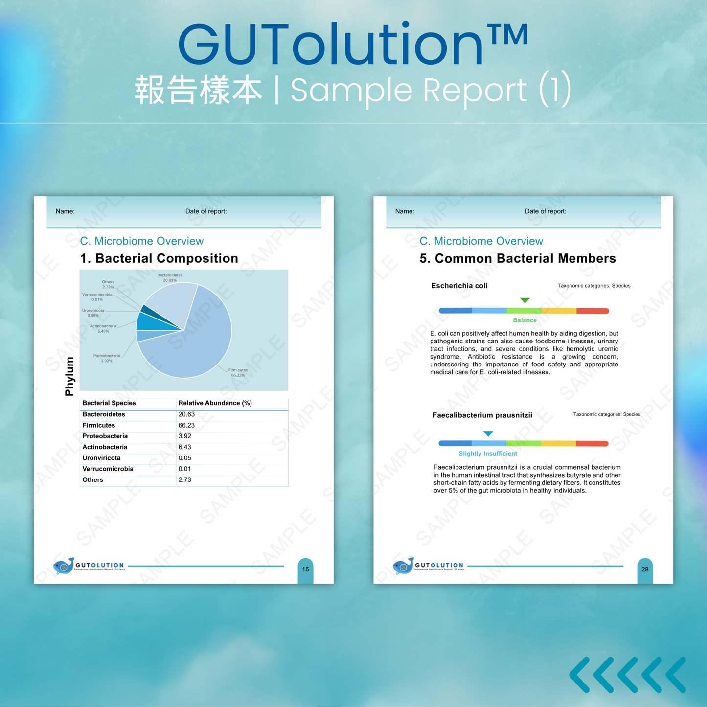 Gut Microbiome Test Pro